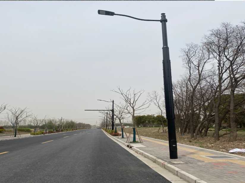 浈江区上海综合杆 太阳能路灯工程